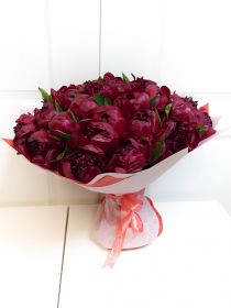 Бордовые пионы - 51 шт.