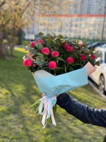 Букет Пионов "Корал Шарм" 19 шт.