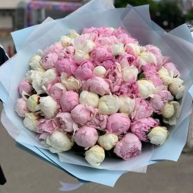 Букет из пионов 51 шт.